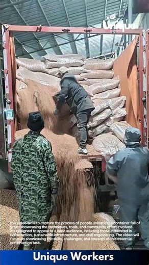 Bulk Grain Unloading Process: Workers Empty Sacks from Container Truck