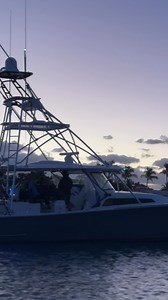 3.6K views · 79 reactions | The V-55 Demo is on the hunt at Operation Sailfish—gearing up for a big day tomorrow! #v55 #valhallaboatworks #v55demo #vbw | Valhalla Boatworks | Facebook