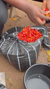 Free food | Paramount Entertainment