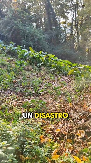 SFIORATO IL DISASTRO 😮‍💨 | L'imboscasa - La casa nel bosco