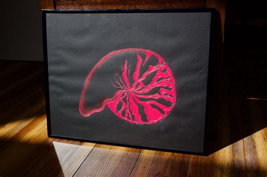 Chambered Nautilus Shell (nautilus Pompilius) Oil Painting- Framed - Etsy