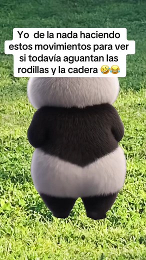 Probando mis rodillas y cadera antes de bailar