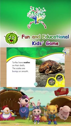 🐢💧 Terrific Turtles! | Meet the Shell Swimmers! | Animal Safari ✨