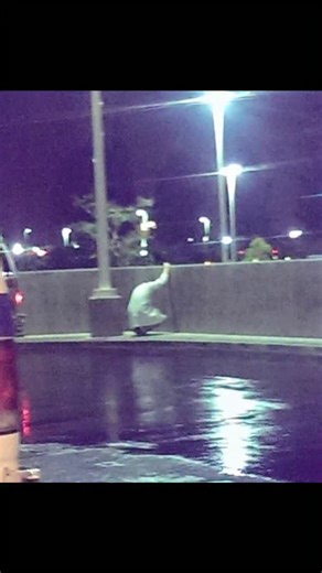 Infamous Boundaries on Instagram: "Heart-wrenching photo of a doctor crying behind a hospital after not being able to save the life of a 19 year old boy. Outside of a Southern California hospital, an ER doctor is crouched down against a concrete wall grieving the loss of his 19-year-old patient. A paramedic snaps a photo of the tender scene. Minutes after the photograph, the doctor returns to work "holding his head high." This photo doesnt identify the doctor in photo, but it definitely shows th