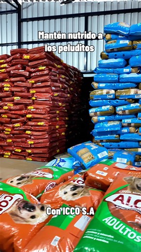 🐾 ¡Que no le falte croqueta a ningún peludo! Alimento para perro 🐕 de marcas reconocidas 📦 Calidad precio mayorista = ¡ventas seguras! 📲 Contáctanos: 03 240 8275 | ICCO