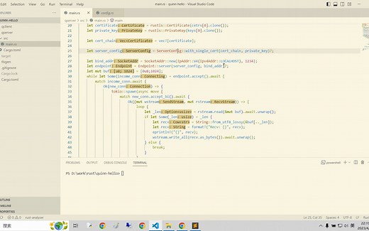 Rust quic协议实战quinn之helloword