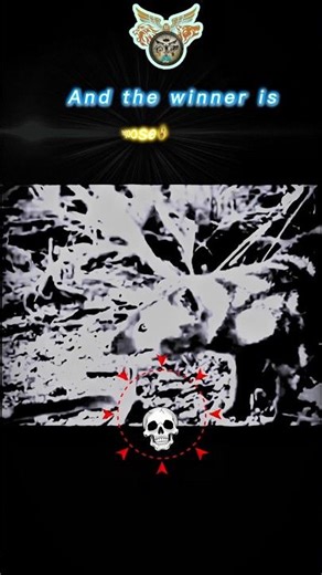 mongoose vs Mamba final fight edit!! 😱 #50