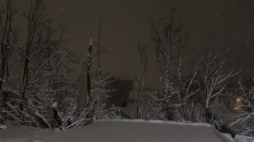 Exploring the Pluto Projector by Rex Orange County