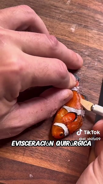 Preparación del Pez Payaso al Estilo Nemo