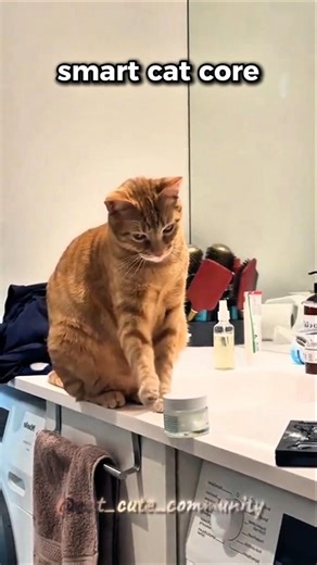 Smart cat core