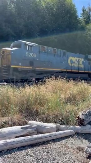 Full Train - BNSF + CSX Lashup! #train #trainvideo #railroad #railwaycontent #trainspotting