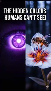 Why Humans Can’t See Ultraviolet Light 😱 Hidden Colors Explained.#uv #science #humanscience