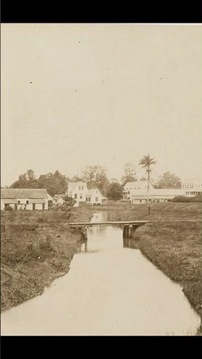 Johan Pfaff Reverend turned Plantation Owner #shorts #history #facts