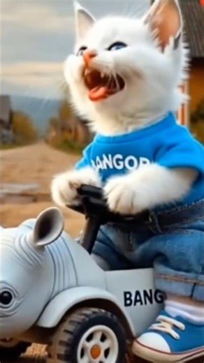 Funny Cat and Frog Monster Dancing Together!