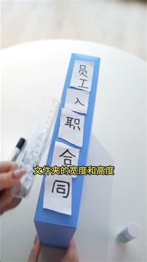 制作侧标签的技巧非常实用，办公小白也能轻松学会！#wps#办公技巧 #干货分享 #wps小表姐 #excel