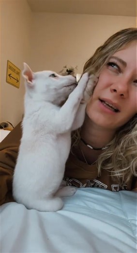 Adorable TikTok Throwback of Little Yuki - Yuki Puppy Compilation