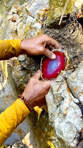the process of discovering a red ruby under an extraordinary lump of earth #Rockhounding #Agate