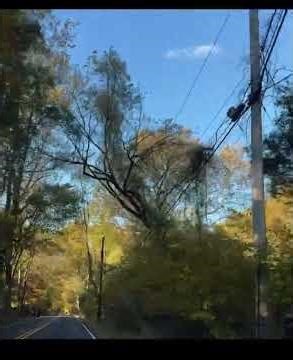 Relational Dialectic Dynamo of discourse