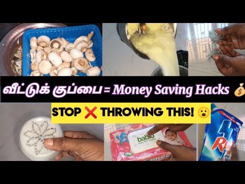 |Waste ❌ Best ✅ குப்பைன்னு நினைச்சது பொக்கிஷம் 💎| Must Watch|Old Things = New Uses😍|Tamil Life Hacks