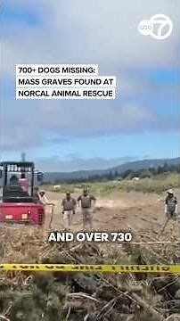 730+ Dogs Missing: The Real Truth of “No Kill” Miranda’s Rescue