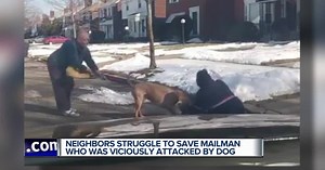 Video shows dog viciously attacking mail carrier in Detroit