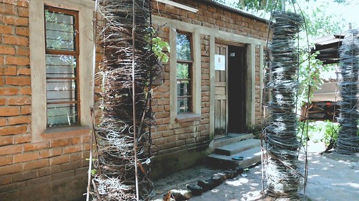 45K views · 112 shares | This type of giraffe lives in only one area. Just 600 of them remain, but poaching is putting them at serious risk. #MissionCritical | National Geographic Animals | Facebook