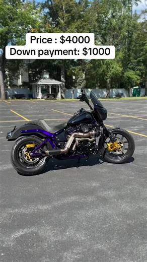 2020 LOW RIDER S . 190HP. Dyno sheets and ALL receipts included, less than 1000 miles on complete frame up build by Hulten Speed Sports. Financing available. 128” S&S Darkhorse Welded Crank HSS Stage 2 Heads Trask Assasin Turbo HSS 545 Cam 64mm TB Feuling Oil pump/plate Barnett Clutch Trask Power Plate Thundermax ECM Rebuffini NEXO 5.0 Inverted Front End Rebuffini Radial calipers and mounts Floating rotors Vitys Carbon Rear fender Vitys carbon dash Carbon Side covers, fairing, front fender, tank