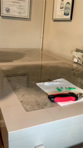 Cosmo the Himalayan Cat Grooming Challenge