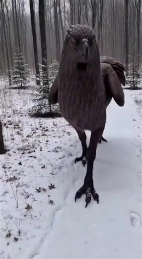 Sora created #sora #hippogriff #winter #mythicalcreature | Mythical Creature