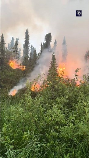 How To Fight Fire With fire 🔥