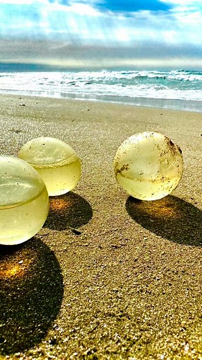 The resilient Orb I came across this strange orb — It looks and feels just like a rubbery plastic… but it’s 100% natural. No toxic chemical compounds, No man-made process. Just nature doing its own kind of engineering. After drying the orb out and reinserting it into water this is what happened. I also subjected it to boiling water something that it would almost never experience in real world and it seem to handle this fine. If there are any biomimicry experts out there I think this might be a w