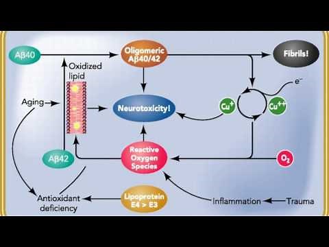 Difference Between Pathology and Pathophysiology