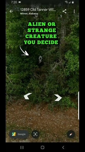Alien captured on google maps. #aliensighting #extraterrestrial #googleearth #mysteries #reels2024 #viral2024 #ufos #ufosighting #aliens #alien #creatures #bigfoot #conspiracy | Damon Bussell | Facebook