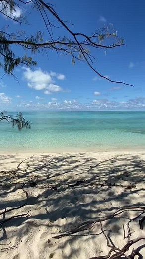 #beachy #beachy #sunsetbeach #fypシ #beachvibes #summer #sunrise #sun #blowup #summertime #summerday #summervlog #skincareroutine #beautytok #1m #viral #sunset #sunrise #beautiful #ocean #beachvibes #🥥 #🌴 #👙 #🏄🏼‍♀️ #🌅 #🌺 #🐡 #🌊 #🐚 #goviral #moana #moanalife #40k #😘 #vacation #fyp #dream #summer2024 #asethetic #views #wonderful #viralvideo #vibes #foryoupage #foryou #dreamlife #lifestyle #2024 #wow #foryoupage_tik_tok #marinabiology #marinalife #moanaedit #moanatrend