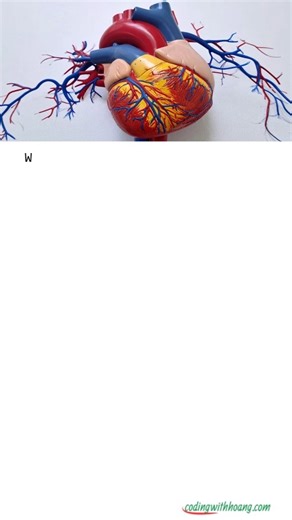 Coding With Hoang | CPC Prep on Instagram: "Coronary intervention coding — NEW 2026 CPT guidance 👇 How does CPT define coronary segments under the 2026 updates? This change introduces coronary segment–based reporting, aligned with the NCDR CathPCI model, and directly impacts how coronary interventions are coded and interpreted. Follow @codingwithhoang for clear explanations of 2026 CPT updates, coronary coding concepts, and exam-relevant guidance. #medicalcoding #CPT2026 #2026CPTchanges #corona