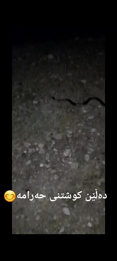 فيديوهات أنشأها cheya (@cheya_uk) باستخدام original sound - cheya