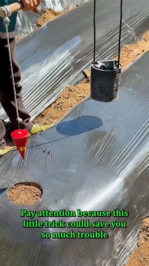 This useful trick takes only seconds to learn.
