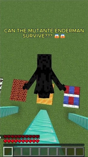 NÃO CLIQUE NO AUDIO!!!! ☠️☠️☠️ #minecraft
