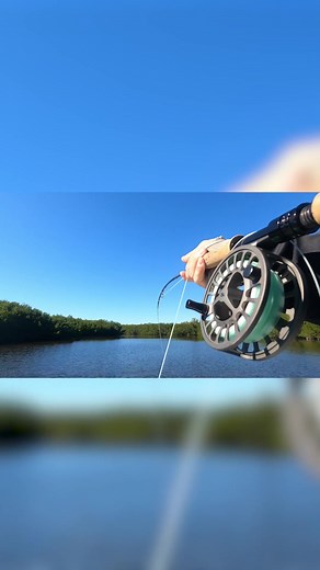 My captains, what is the best way to fly fish by yourself… ....#saltwaterfishing #floridafishing #flyfishing #redfishonfly #skiff #skifflife #boating #fishing #bigfish #saltlife #clearwater #backcountry #flyfishingnation #flyfishinglife #snook #redfish #gopro@gopro #skifflife #inshorefishing