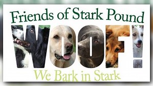 Dog pound full in Stark County, Warden 'desperately' trying to find homes for dogs