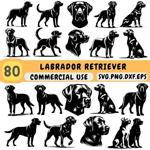 Labrador Retriever SVG Bundle, Clipart Pack, Files, Set for Cricut Commercial Use - Etsy