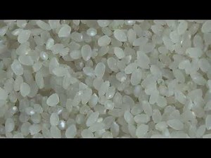 循環式精米機 NSF300精米動画