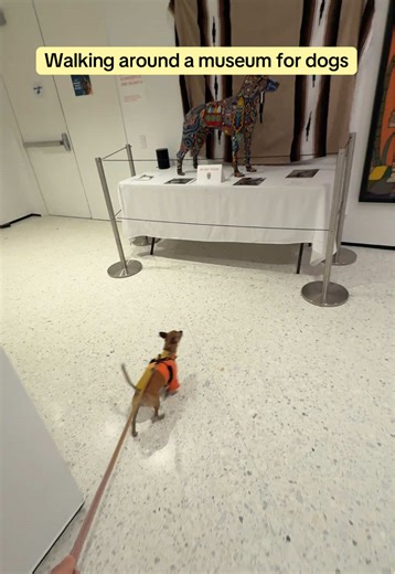 Pippy Discovers Culture at the Museum