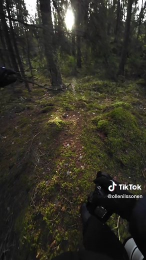 Which Photo is Your Favorite? Nature Photography Comparison