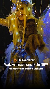 204K views · 1.1K reactions | Mitten im Wald, überall Lichter und...