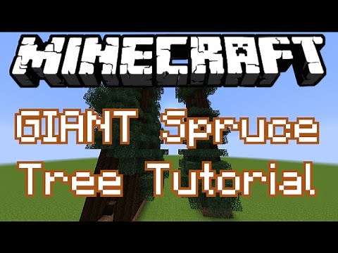 Giant Spruce Tree! - Minecraft Tutorial