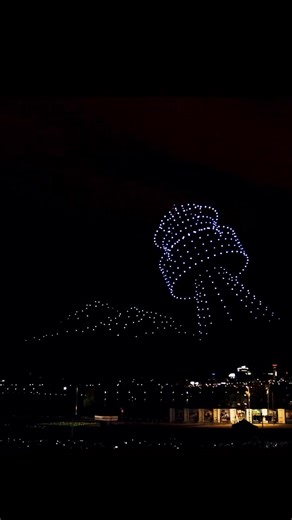 14K views · 354 reactions | The unforgettable moment that still moves us - LINE FRIENDS DRONE LIGHT SHOW at Hangang Park! ✨ Thank you all for the love! 癩 | LINE FRIENDS | Facebook