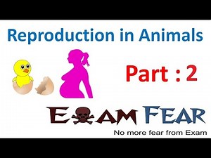 L2 : Types: Sexual and Asexual - Reproduction in Animals, Science, Class 8 Video Lecture