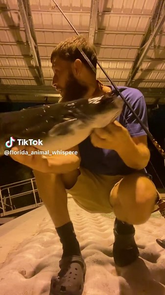 Exploring the Channel Catfish in the Outdoors