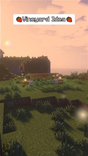 Simple Aesthetic Vineyard Design 🍓🍇